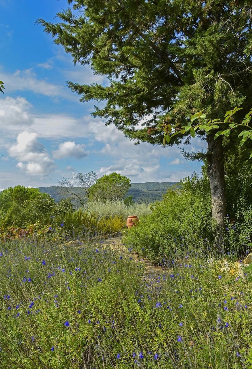 Il Verreno Bucine Bagian luar foto